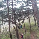 제일농산 이미지