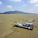 [제물포구락부]강화 갯벌 및 저어새 번식지 - 세계적인 갯벌과 희귀한 저어새를 만날 수 있는 곳