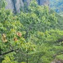 솔샘농장 이미지