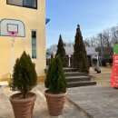 봉곡동308 이미지