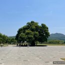 성밖숲정보센터 이미지