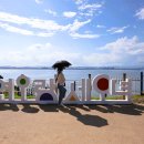 해월도가 이미지