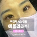 작전역 | 작전역 속눈썹펌 맛집 예블리래쉬 다녀온 후기