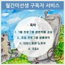 월간미선생