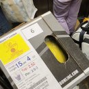 젠스톰 Daum카페