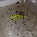 배산로 이미지