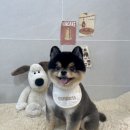 몽아뜨 이미지