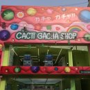 캑티가챠샵 | 혜화 놀거리 실내 이치방쿠지가 있는 캑티가챠샵 내돈내산 후기