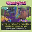 (공연) 프렌쥬 클래식 사파리 - 앵무새의 합창대회 이미지