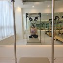 지투피트니스 앤 필라테스 | 지투피트니스앤필라테스 김포필라테스 체험기