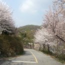 초록숲민박