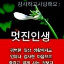 해피데이 이미지