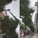 마산 창원 간판 전문 에스엠간판 에서 시공한 모란여성병원 간판후기 1