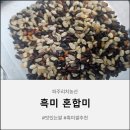 경기쌀농산 | 파주리치농산 흑미밥 찰진 흑미쌀로 밥상 위 건강식 영양식 챙기세요