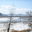 합수목의 봄 이미지