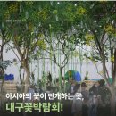 아시아화원 이미지