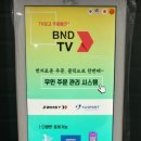 위너민턴