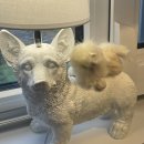 삼다수보다 맑은 영혼의 소유자