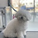 프롬 유니 이미지