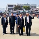 영월초등학교 티스토리