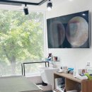 스킨앤이어동물병원 이미지