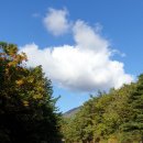 설악산, 울산바위 언저리(용산태골~새흑다리골~학사평저수지)를 배회하며 가을 단풍을 즐긴다. 이미지