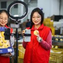 라이브유통 이미지