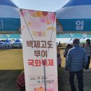 부여농장 | 부여국화축제