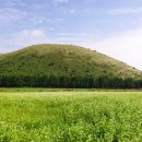 오름커뮤니케이션 - 제주시 조수5길 14-1 | 오름커뮤니케이션