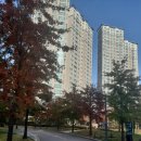 광교초이스공인중개사사무소 이미지