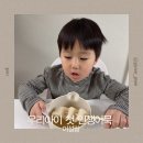 우리아이첫반찬 | 어설랑 아이반찬 한입꼬치어묵 밀가루없는어묵 우리아이 첫 인생어묵 후기