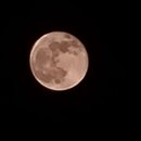 올레펜션 이미지