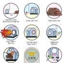 화목 이미지