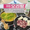 오리여행 | 광주 오리탕맛집 태화오리탕 내돈내산 후기, 오리로스가 서비스라고?! 전라도 여행 추천