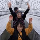 혜숙농장 이미지