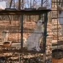 지인농장 이미지