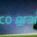 에코 플랜테리어 수경재배 이미지