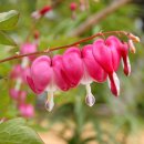 순자추어탕 이미지