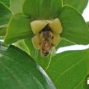 왕림농장 이미지