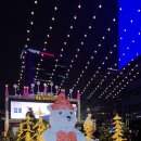 법무법인정직