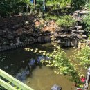 마실휴양농원 이미지