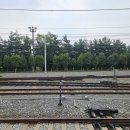 (주)한신메카 | 계획에 없던 8월의 시작_모에모에큥 메이드카페 방문 후기