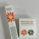 상은 | 브루케시아 브리즈핏 톤업 선베이스 45ml [상은언니PICK/파데프리] 내돈내산 솔직후기