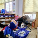 서탄초등학교병설유치원 이미지