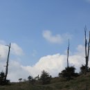 해성고등학교 이미지