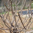 아라리쉼터 이미지