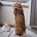이자람전 「이자람의 노인과 바다」 | [LG아트센터서울/판소리] 이자람 판소리 &#39;눈,눈,눈&#39;