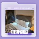 대만 시먼딩 타이베이 역 근처 숙소 리뷰! - 파파웨일 3박 후기!