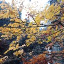 혜성 당구장 이미지