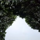 (주)에코랜드 이미지